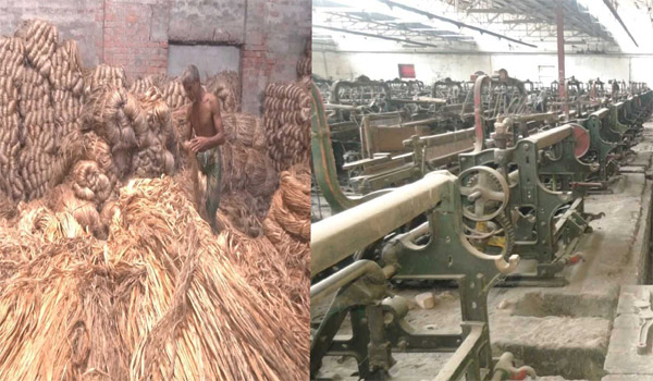 খুলনা অঞ্চলে কাঁচা পাটের অস্বাভাবিক দামের কারণে পাটকলের উৎপাদন বন্ধ