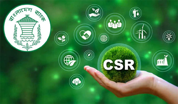 ২০২৪ সালে ব্যাংকখাতে লোকসান ও সিএসআরে হ্রাস