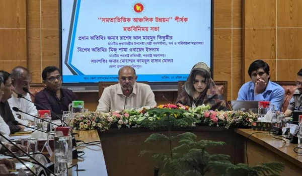 বিদ্যুতের দাম না বাড়ানো জনগণের দায়বদ্ধতা: অর্থ উপদেষ্টা