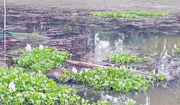 মহেশপুর সীমান্তে চার দিনে দুই মরদেহ উদ্ধার