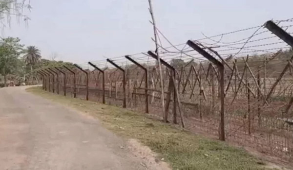 মহেশপুর সীমান্তে তিন বাংলাদেশিকে আটক করেছে বিএসএফ