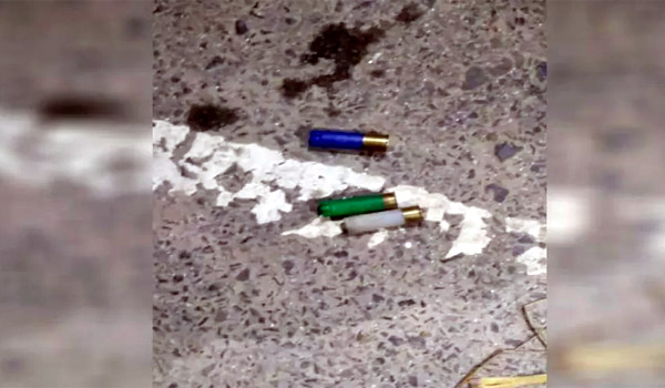 কুষ্টিয়ায় ব্রাশফায়ারে স্বেচ্ছাসেবক দলের নেতাসহ ১০ গুলিবিদ্ধ