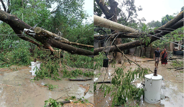 যশোরে বজ্রপাতে ২ জনের মৃত্যু, ঝড়ে বহু গ্রামে বিদ্যুৎবিচ্ছিন্নতা