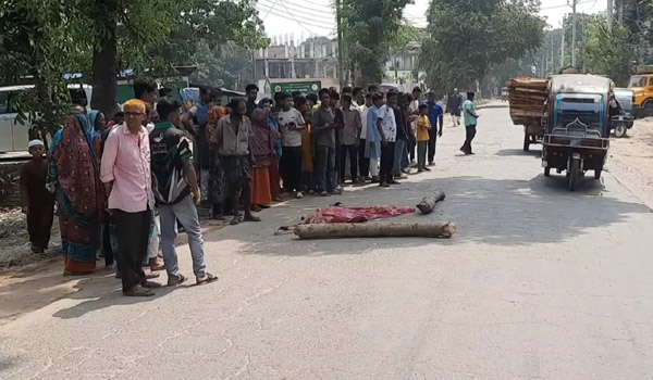 ঝিনাইদহে মেয়ের বাড়ি যাওয়ার পথে ট্রাক চাপায় মা নিহত