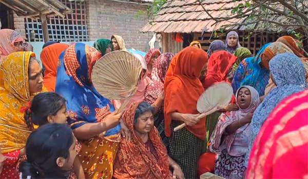 চুয়াডাঙ্গায় মৌমাছির কামড়ে ভ্যানচালকের মৃত্যু