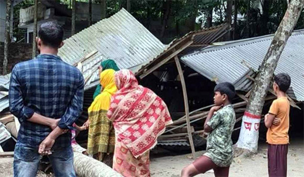 নড়াইলে ক্লাস চলাকালে শ্রেণিকক্ষের ওপর নারিকেল গাছ ভেঙে পড়ে, দুই শিক্ষার্থী গুরুতর আহত
